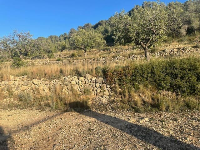 Undeveloped Land for sale in Llombai - € 12,000 (Ref: 7545685)