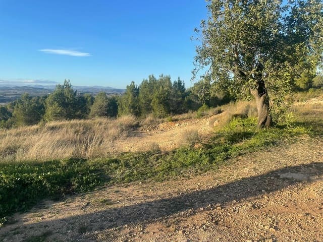 Undeveloped Land for sale in Llombai - € 12,000 (Ref: 7545685)