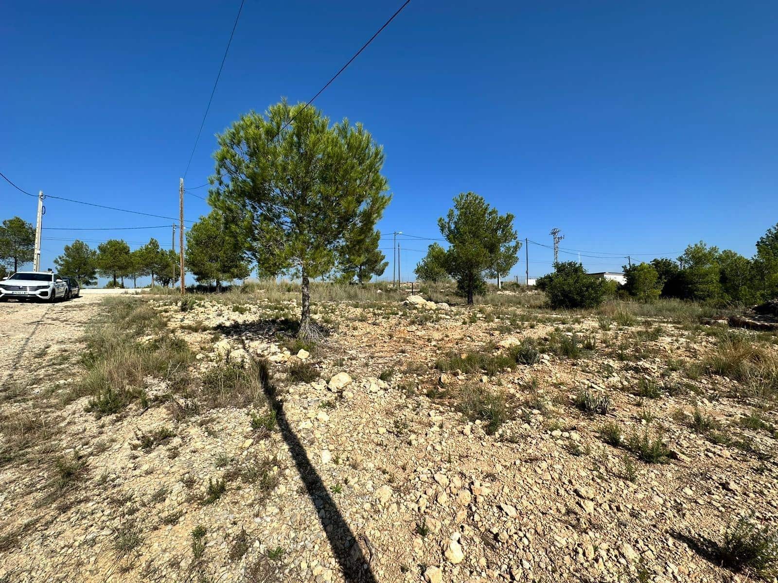 Solar/Parcela en Catadau en venta - 60.000 € (Ref: 7852026)