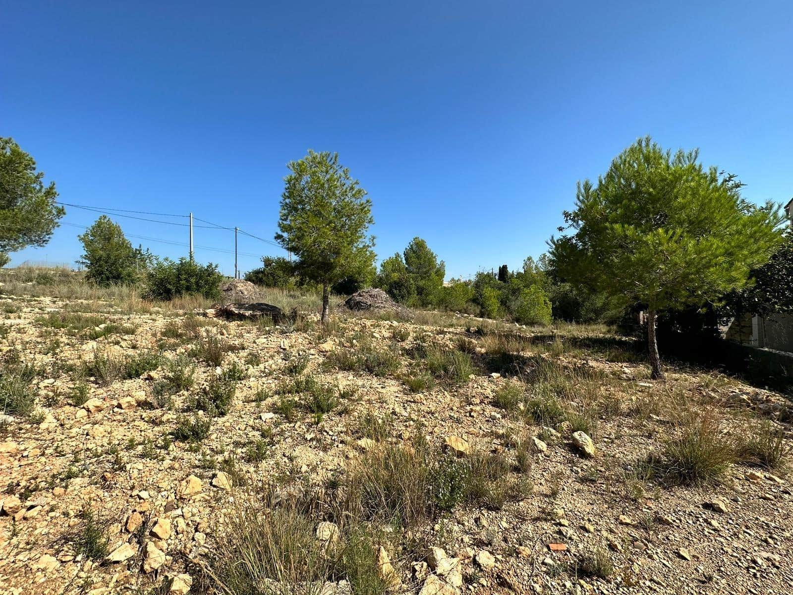 Solar/Parcela en Catadau en venta - 60.000 € (Ref: 7852026)