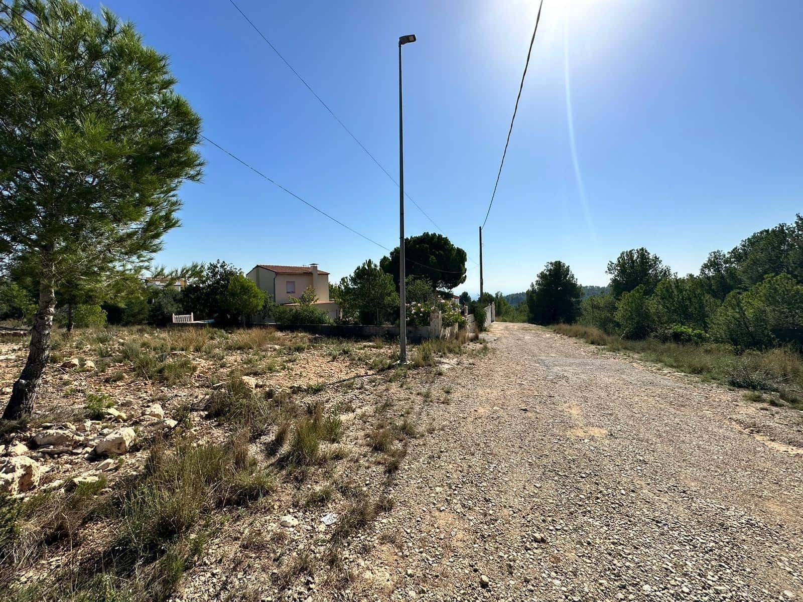 Solar/Parcela en Catadau en venta - 60.000 € (Ref: 7852026)
