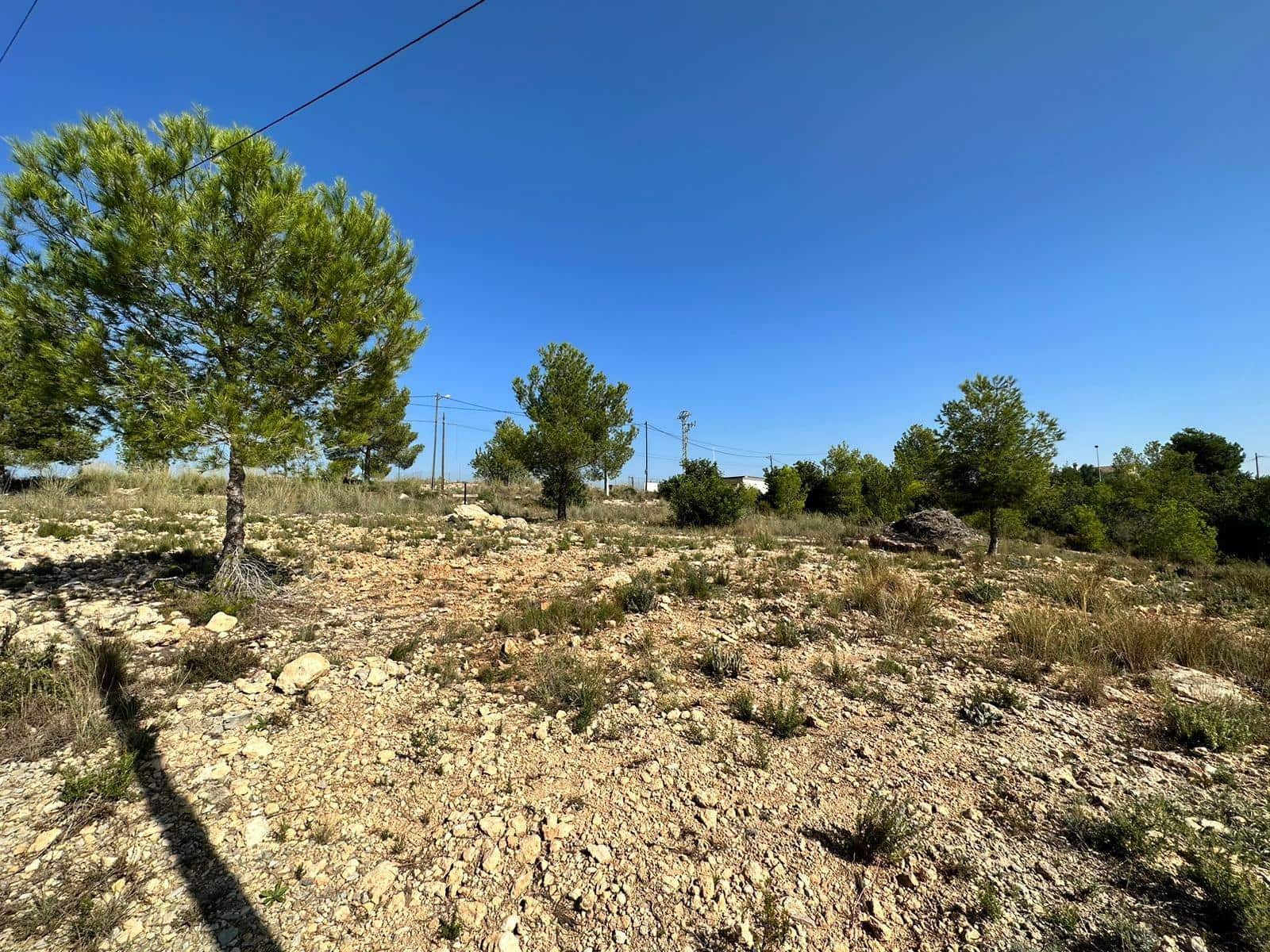 Solar/Parcela en Catadau en venta - 60.000 € (Ref: 7852026)