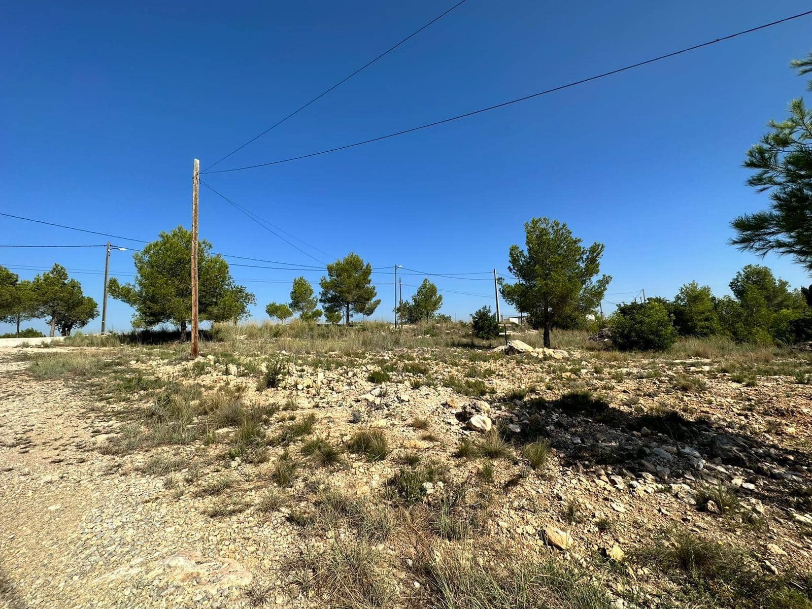 Solar/Parcela en Catadau en venta - 60.000 € (Ref: 7852026)