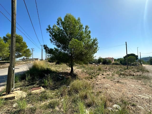 Area Edificabile in vendita in Catadau - 60.000 € (Rif: 7852026)