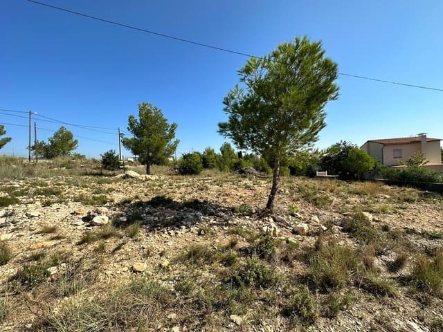 Area Edificabile in vendita in Catadau - 60.000 € (Rif: 7852026)