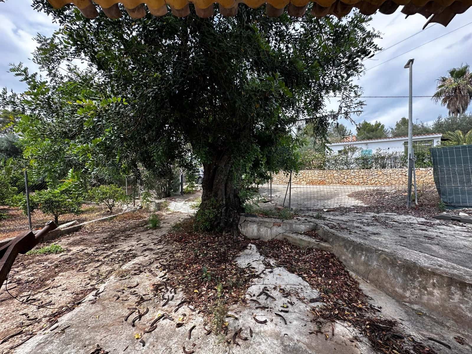 3 sypialnia Finka/Dom wiejski na sprzedaż w Alberic - 35 000 € (Ref: 8405277)