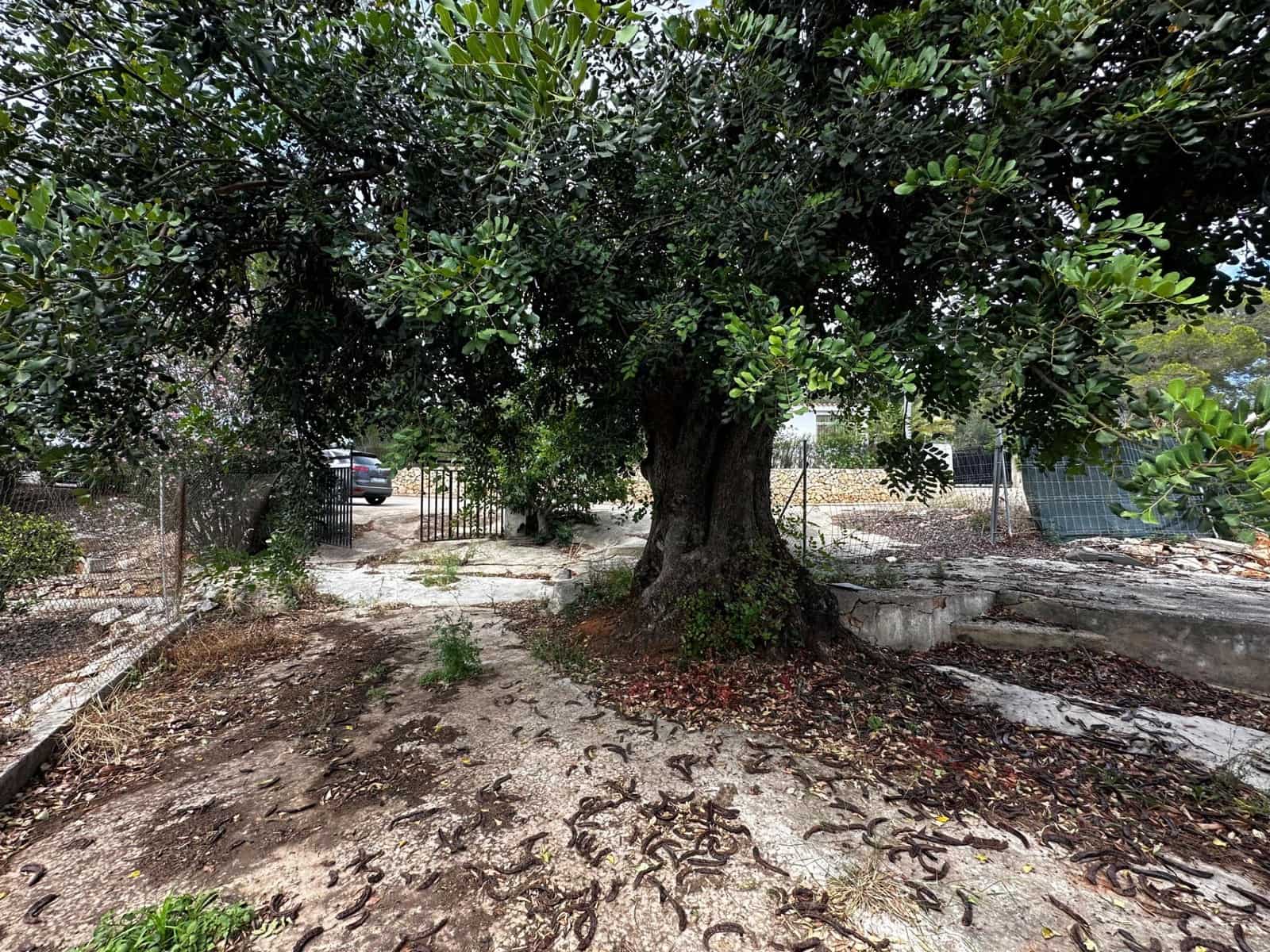 3 sypialnia Finka/Dom wiejski na sprzedaż w Alberic - 35 000 € (Ref: 8405277)