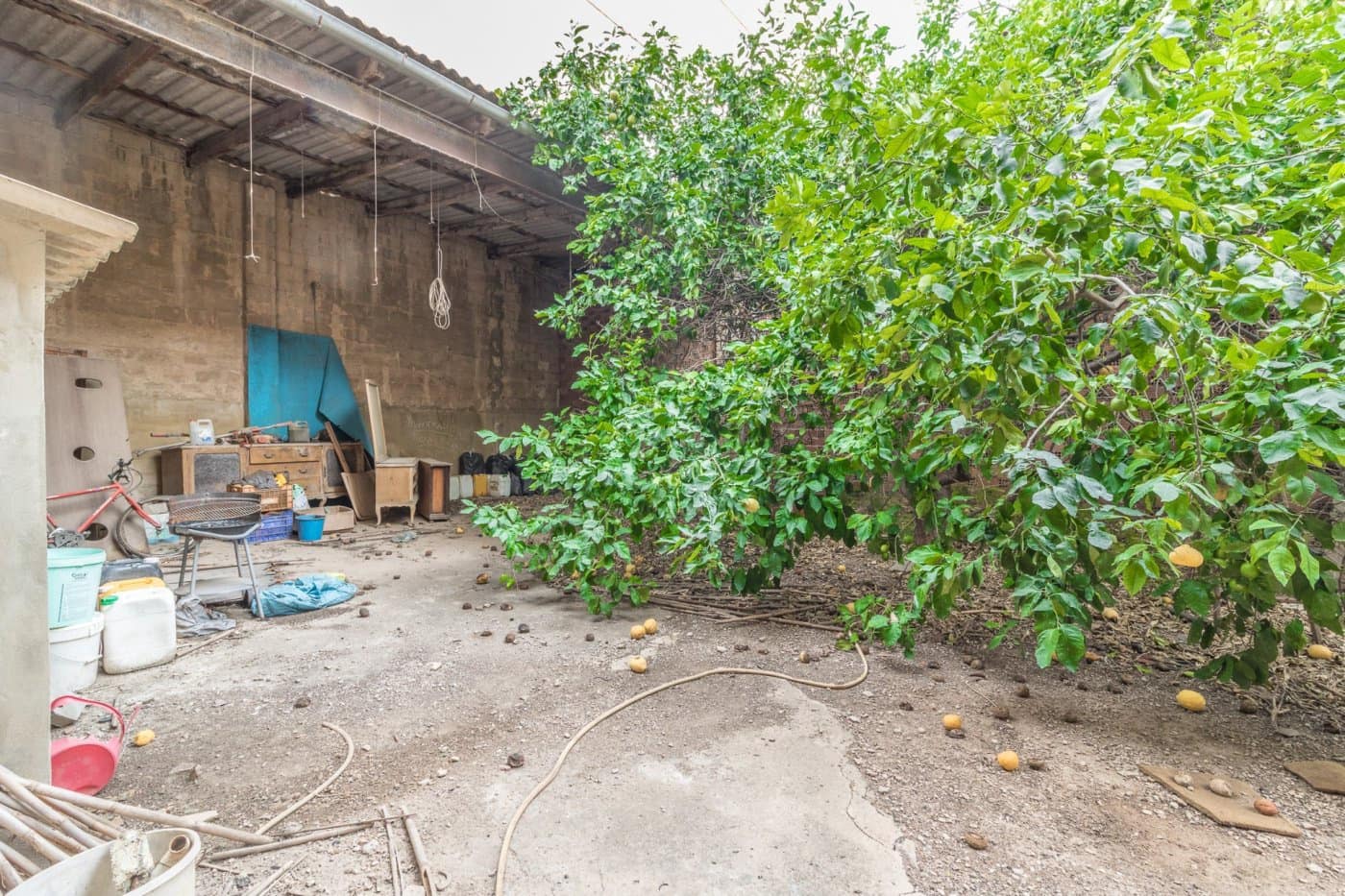 Commerciale in vendita in Carlet - 195.000 € (Rif: 8932129)