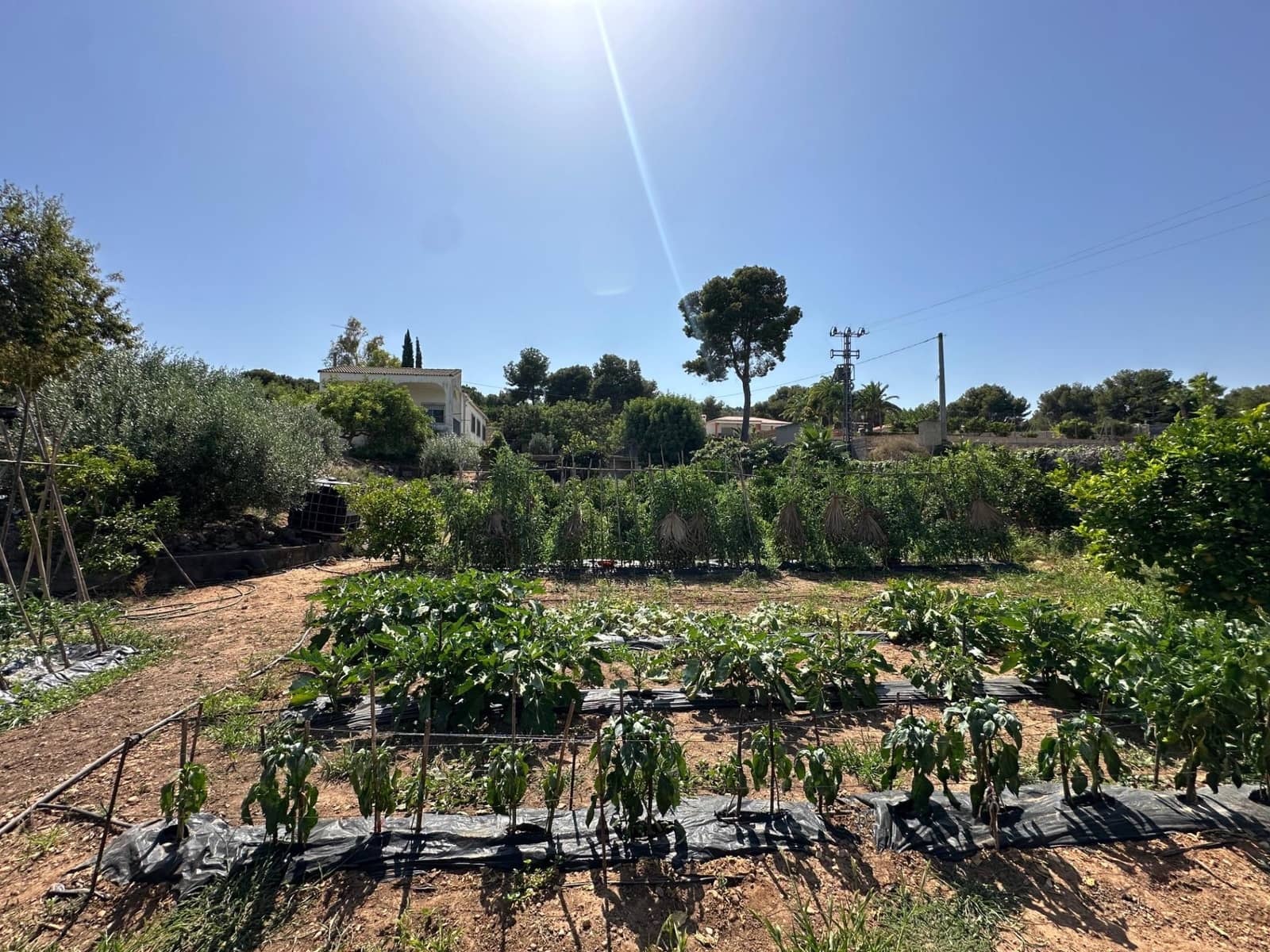 5 bedroom Villa for sale in Carlet with pool - € 175,000 (Ref: 9360133)