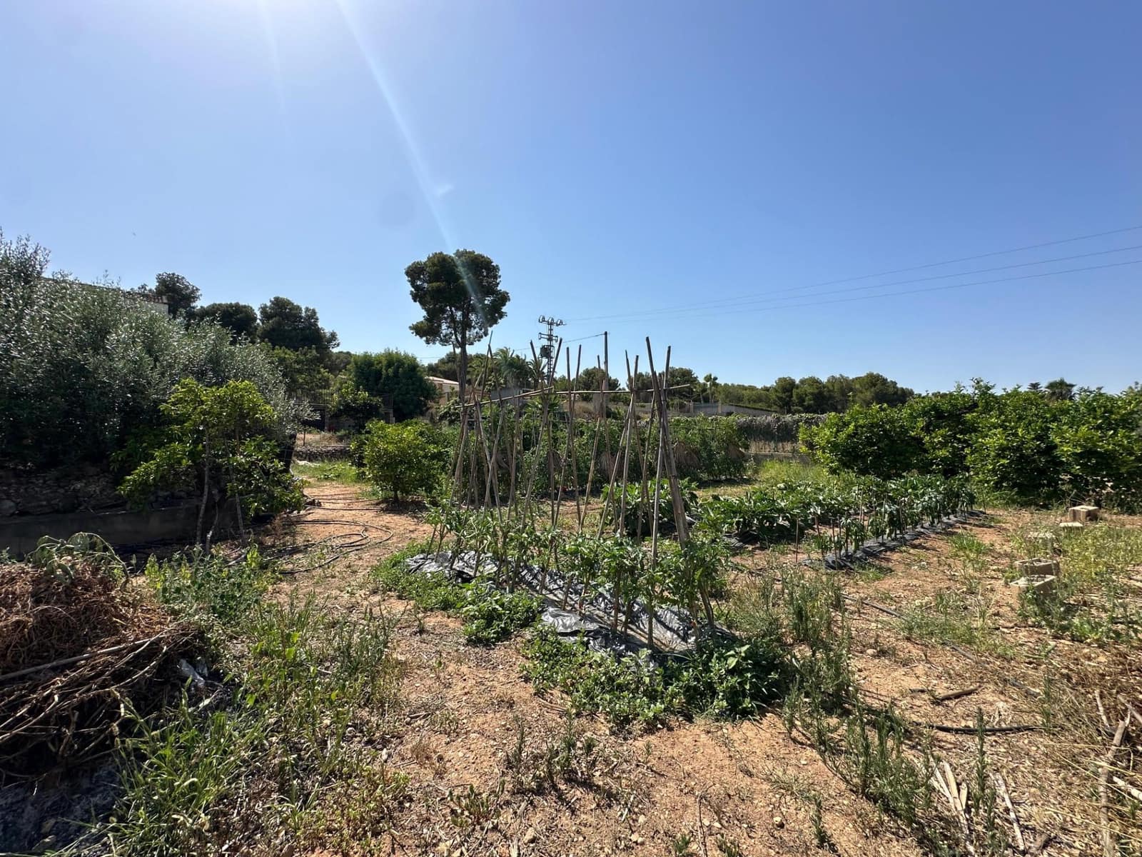 5 bedroom Villa for sale in Carlet with pool - € 175,000 (Ref: 9360133)