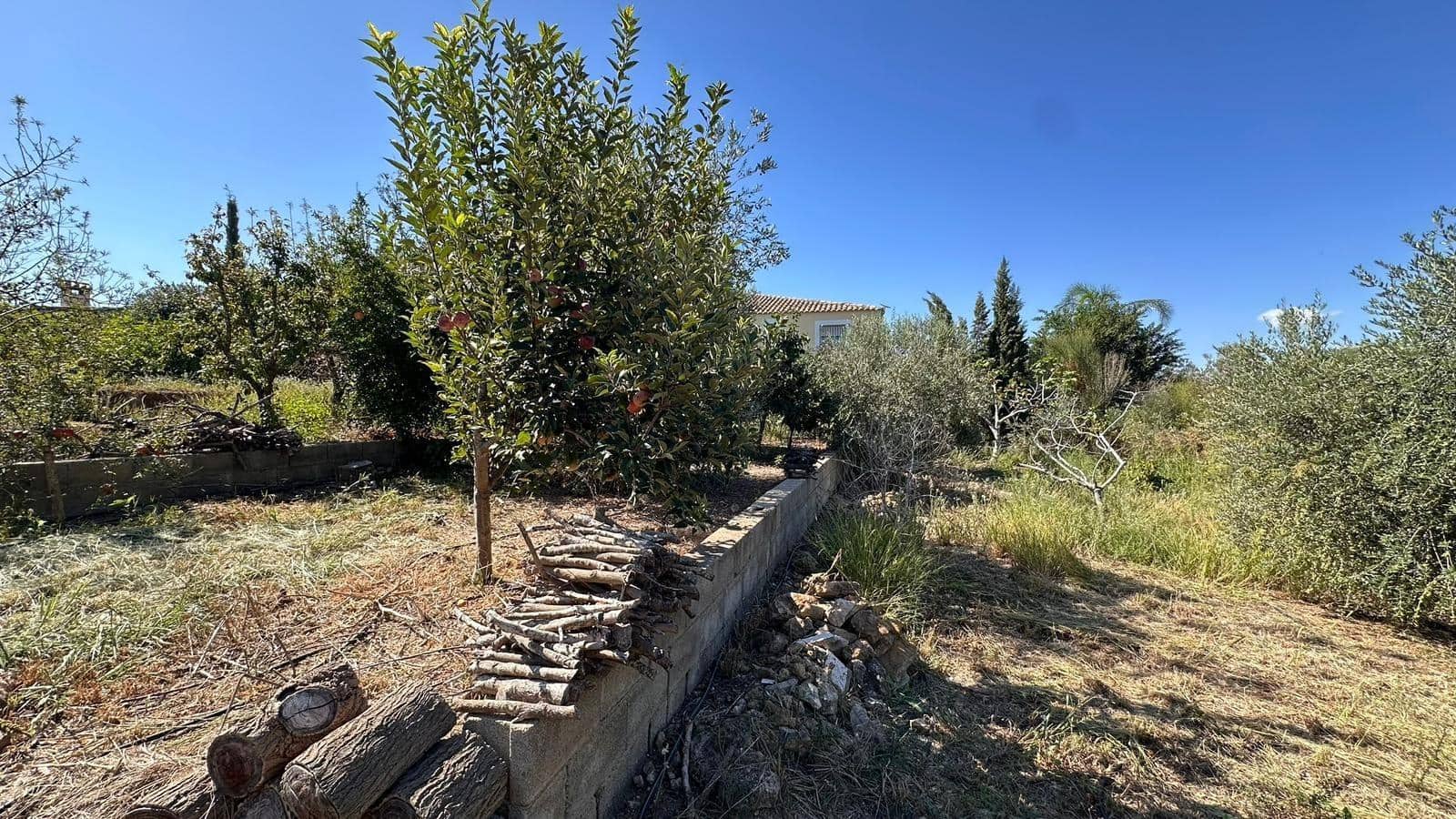 4 slaapkamer Villa te koop in Alfarp met zwembad - € 195.000 (Ref: 9360151)