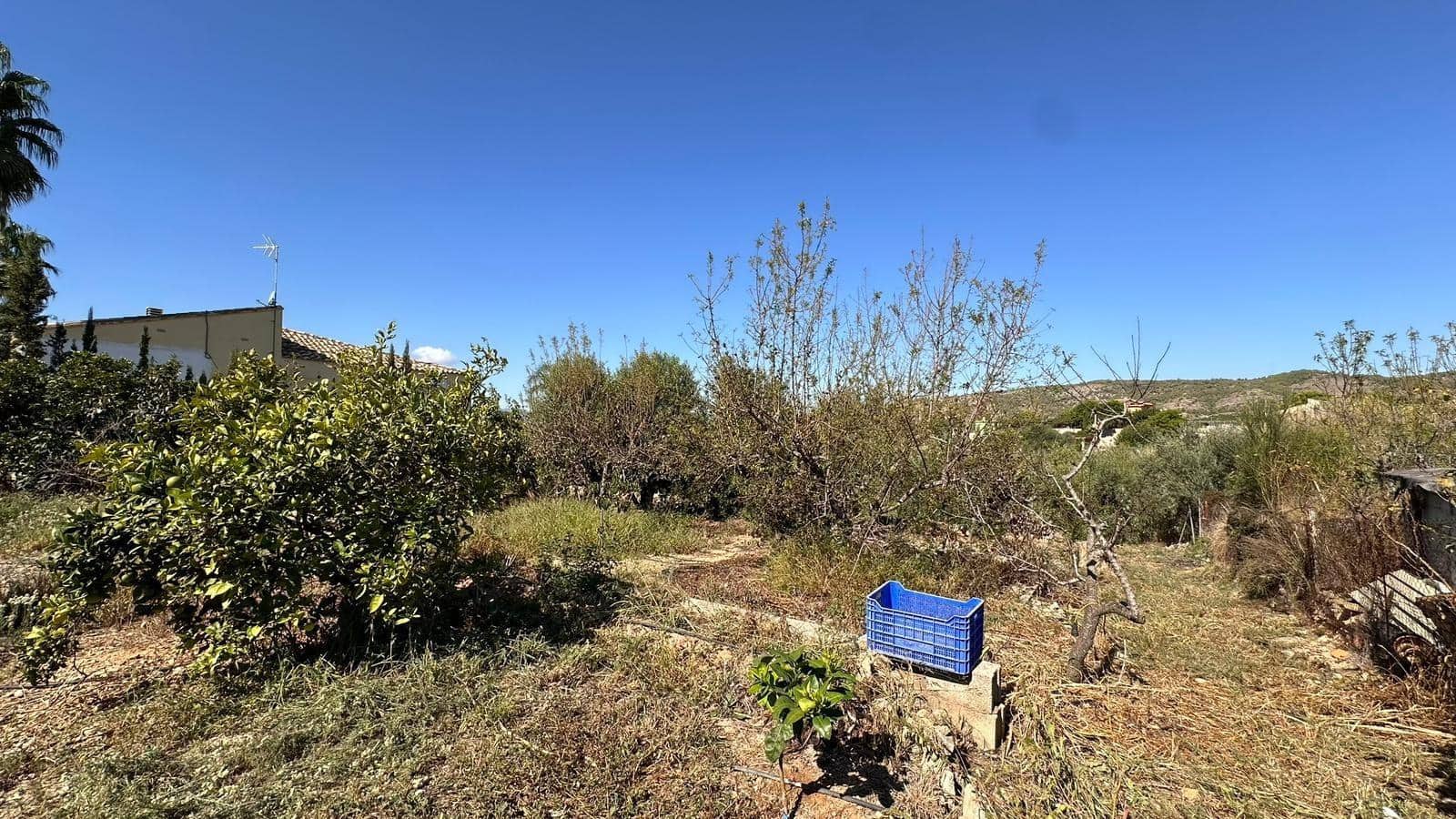 4 slaapkamer Villa te koop in Alfarp met zwembad - € 195.000 (Ref: 9360151)