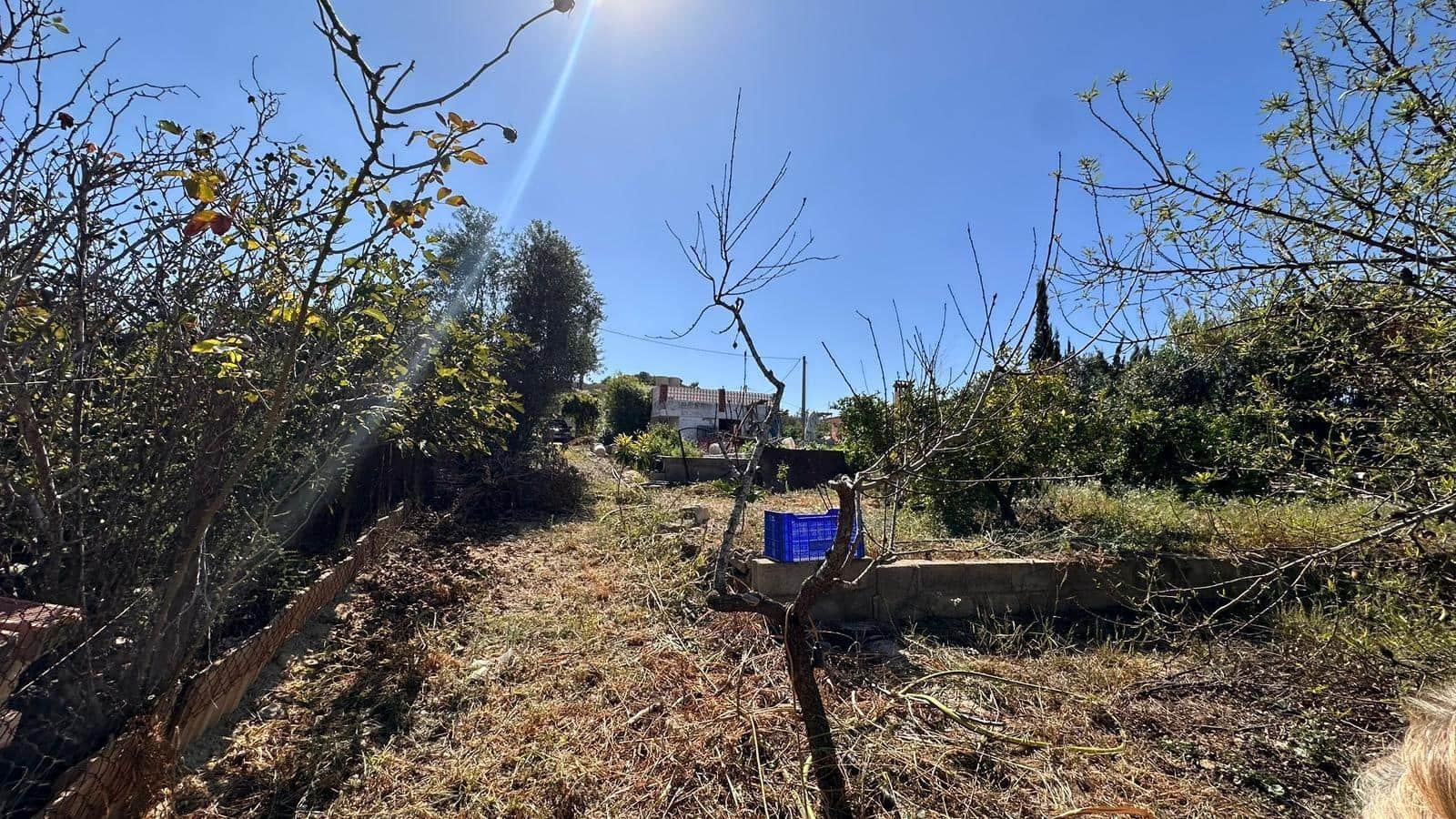 4 slaapkamer Villa te koop in Alfarp met zwembad - € 195.000 (Ref: 9360151)