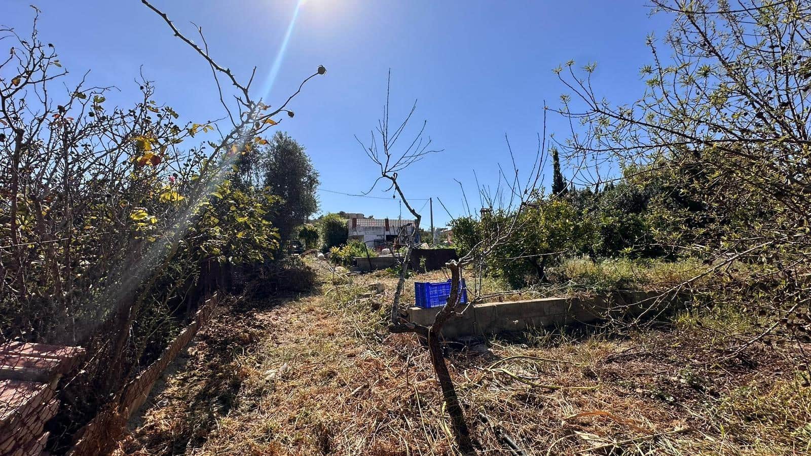 4 slaapkamer Villa te koop in Alfarp met zwembad - € 195.000 (Ref: 9360151)