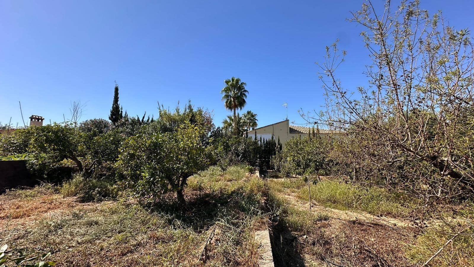 4 slaapkamer Villa te koop in Alfarp met zwembad - € 195.000 (Ref: 9360151)