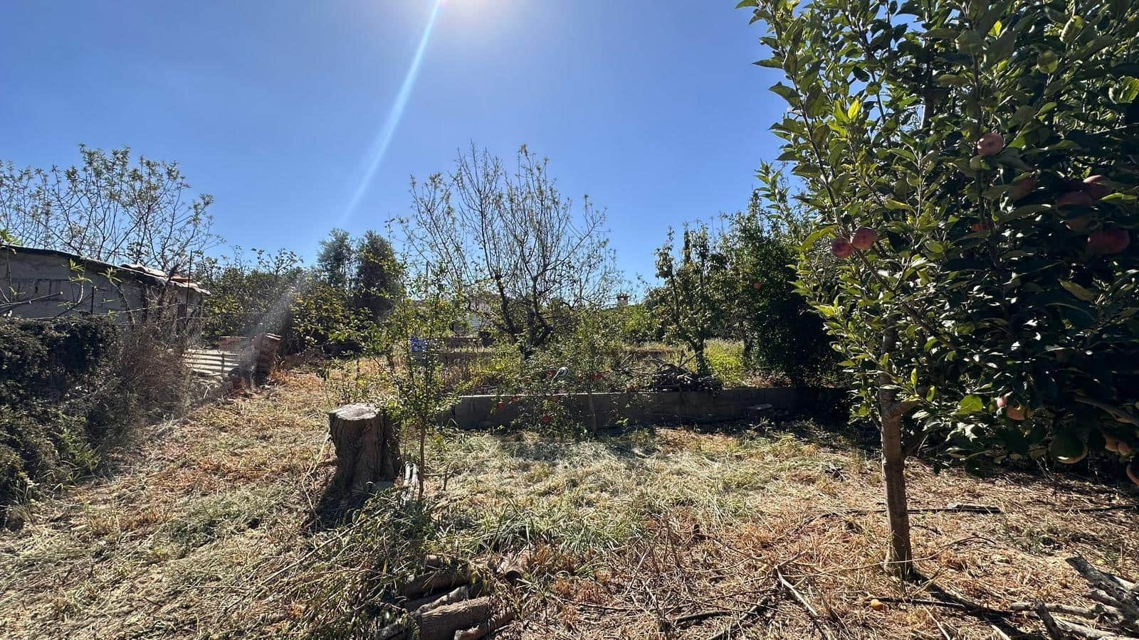 4 slaapkamer Villa te koop in Alfarp met zwembad - € 195.000 (Ref: 9360151)