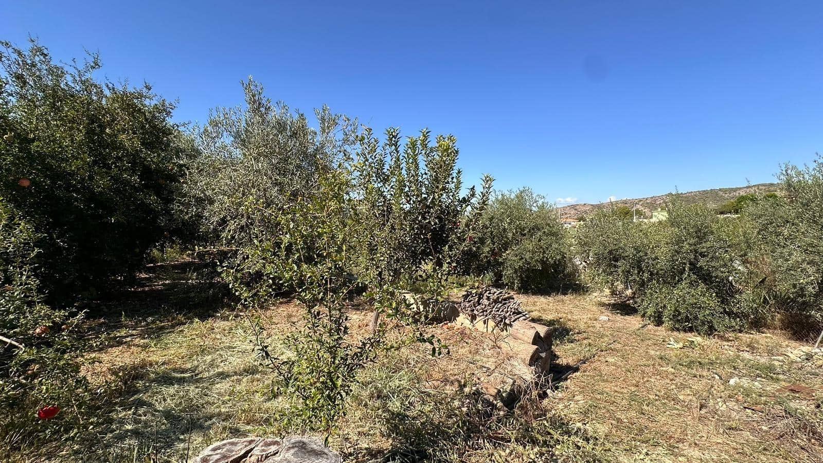 4 slaapkamer Villa te koop in Alfarp met zwembad - € 195.000 (Ref: 9360151)