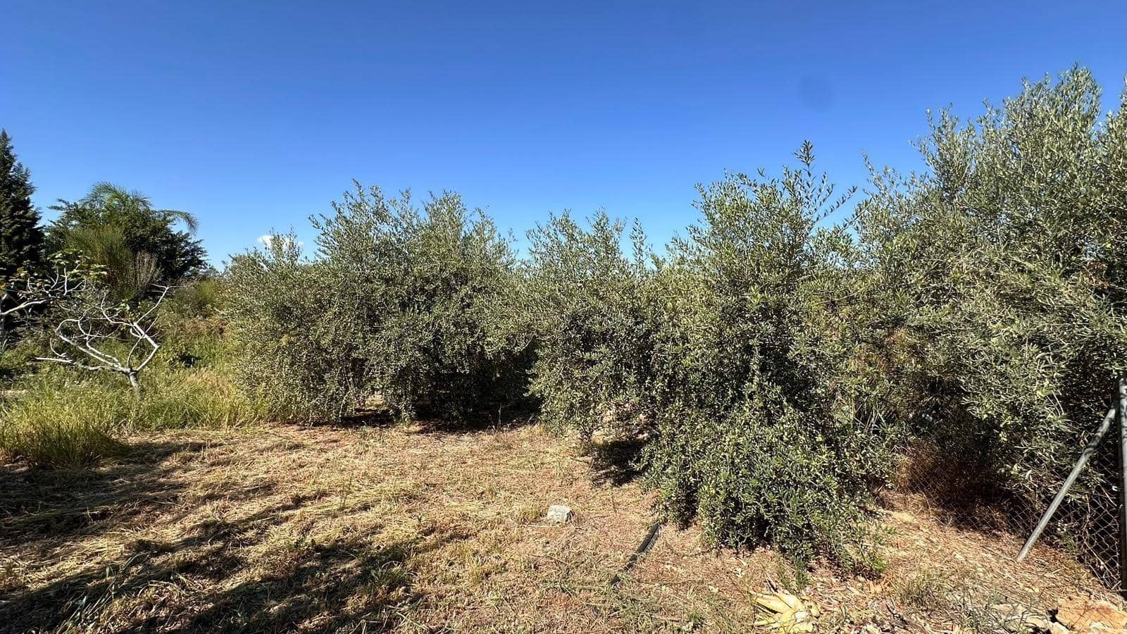 4 slaapkamer Villa te koop in Alfarp met zwembad - € 195.000 (Ref: 9360151)