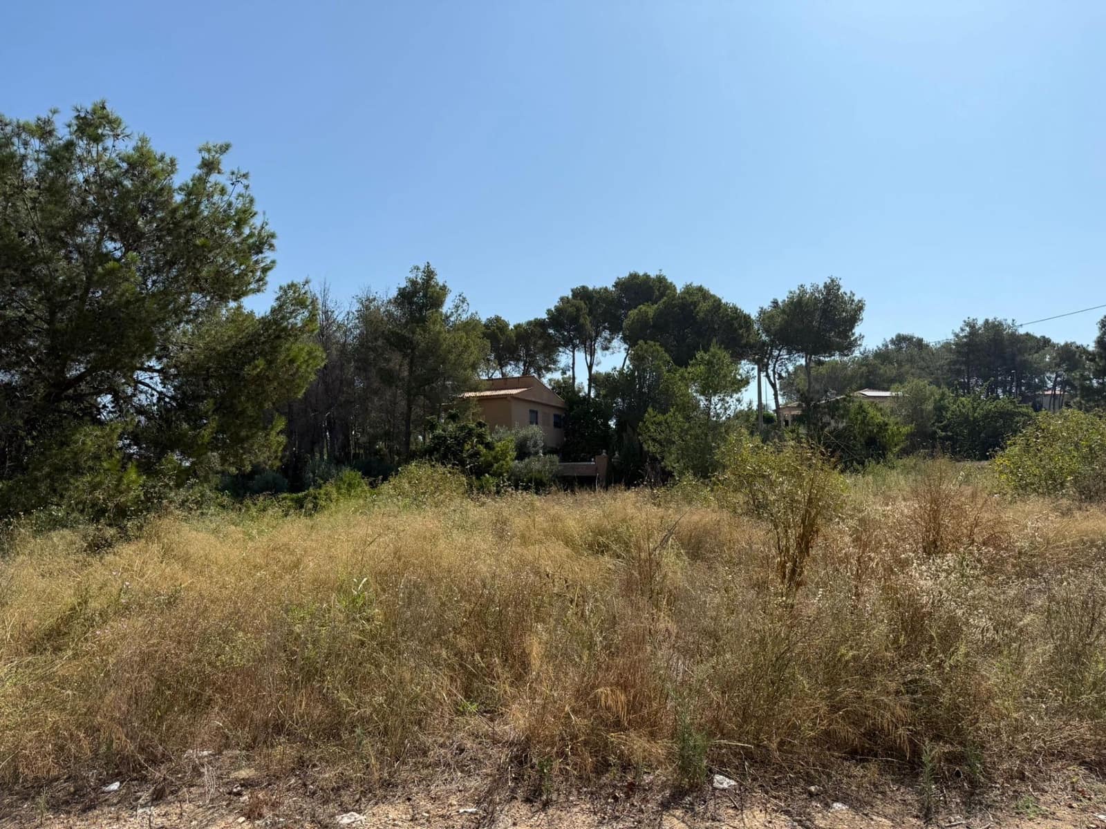 Byggegrund til salg i Alberic - € 45.000 (Ref: 9360158)