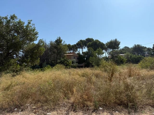 Byggegrund til salg i Alberic - € 45.000 (Ref: 9360158)