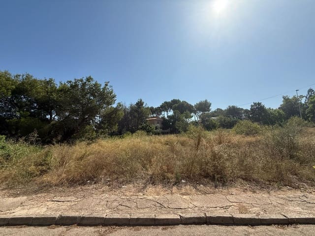 Byggegrund til salg i Alberic - € 45.000 (Ref: 9360158)