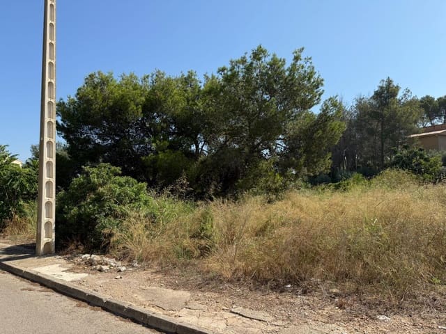 Byggegrund til salg i Alberic - € 45.000 (Ref: 9360158)