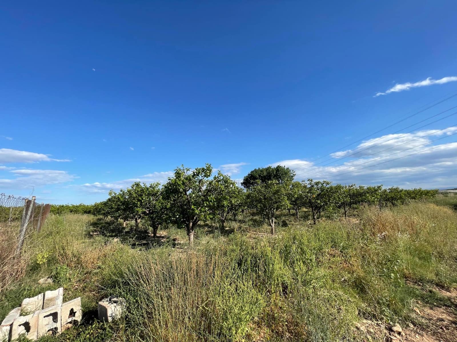 Terreno Não Urbanizado para venda em Benimodo - 6 000 € (Ref: 9360161)