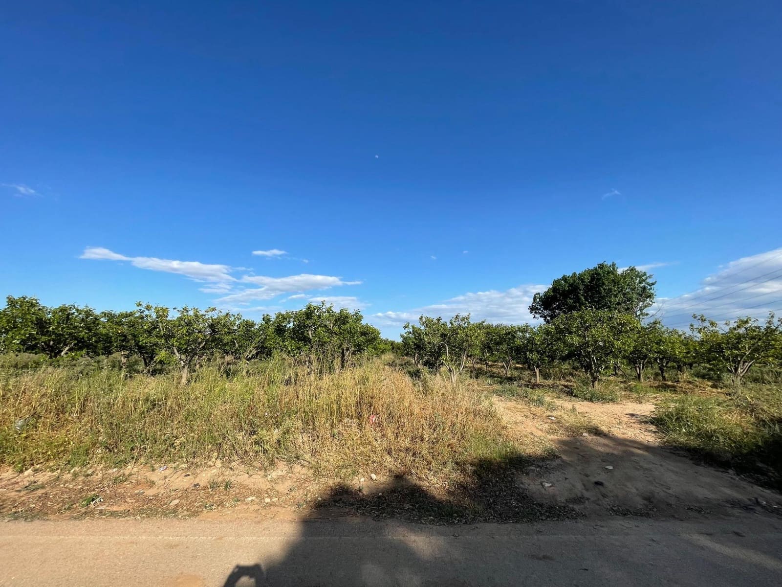 Terreno Não Urbanizado para venda em Benimodo - 6 000 € (Ref: 9360161)