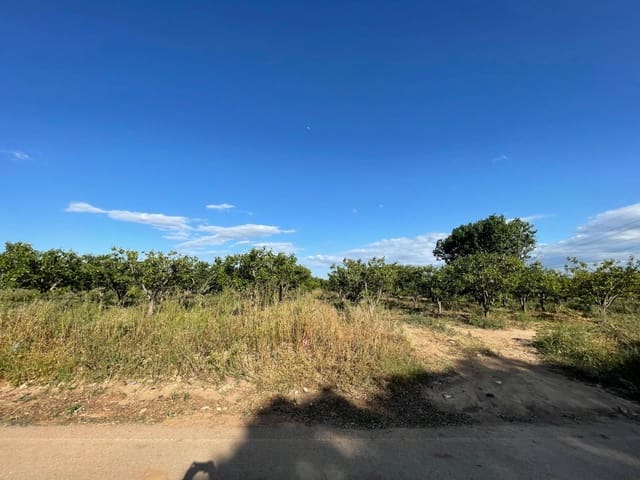 Teren niezagospodarowany na sprzedaż w Benimodo - 6 000 € (Ref: 9360161)