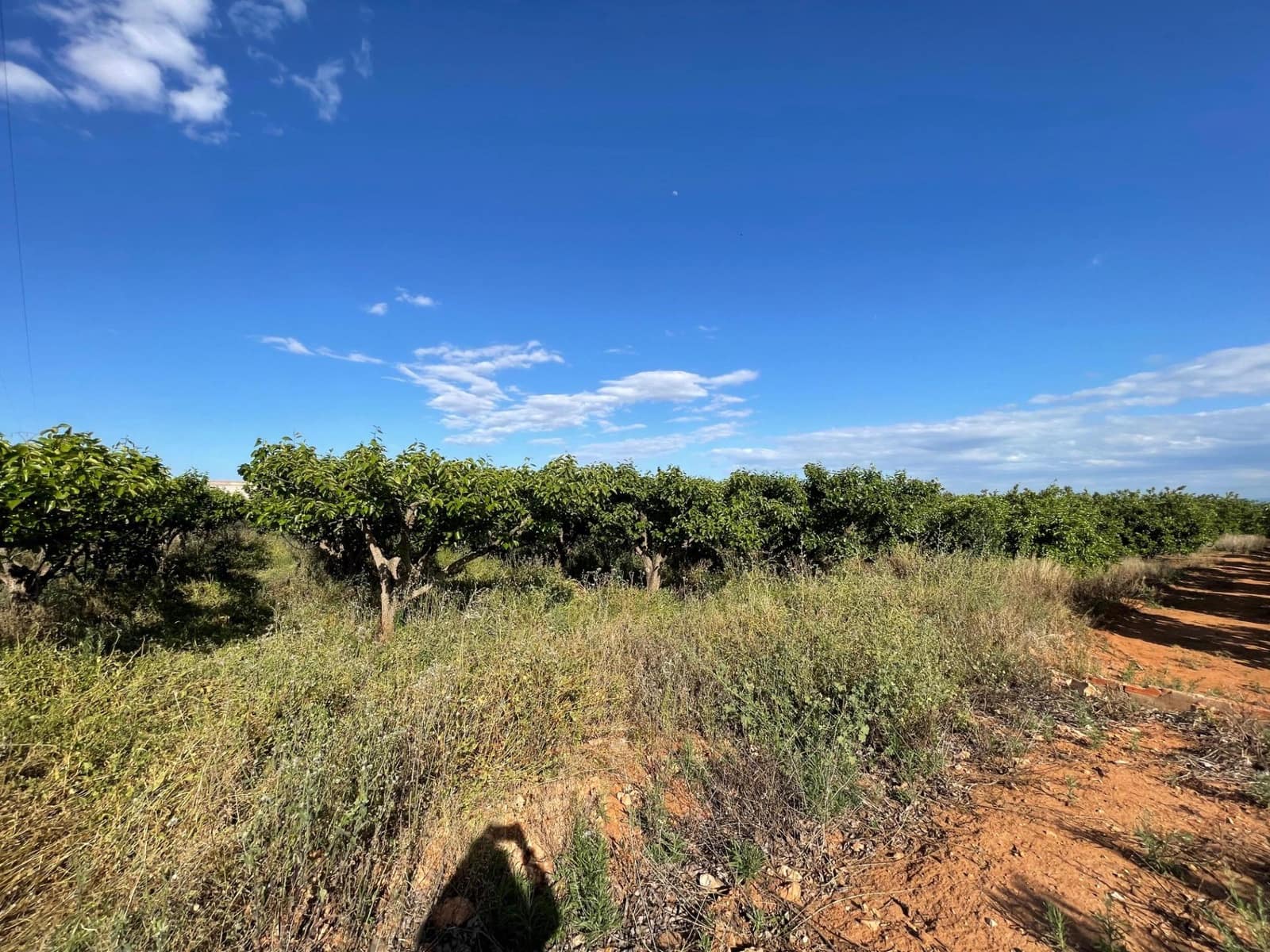 Building Plot for sale in Benimodo - € 10,000 (Ref: 9360167)