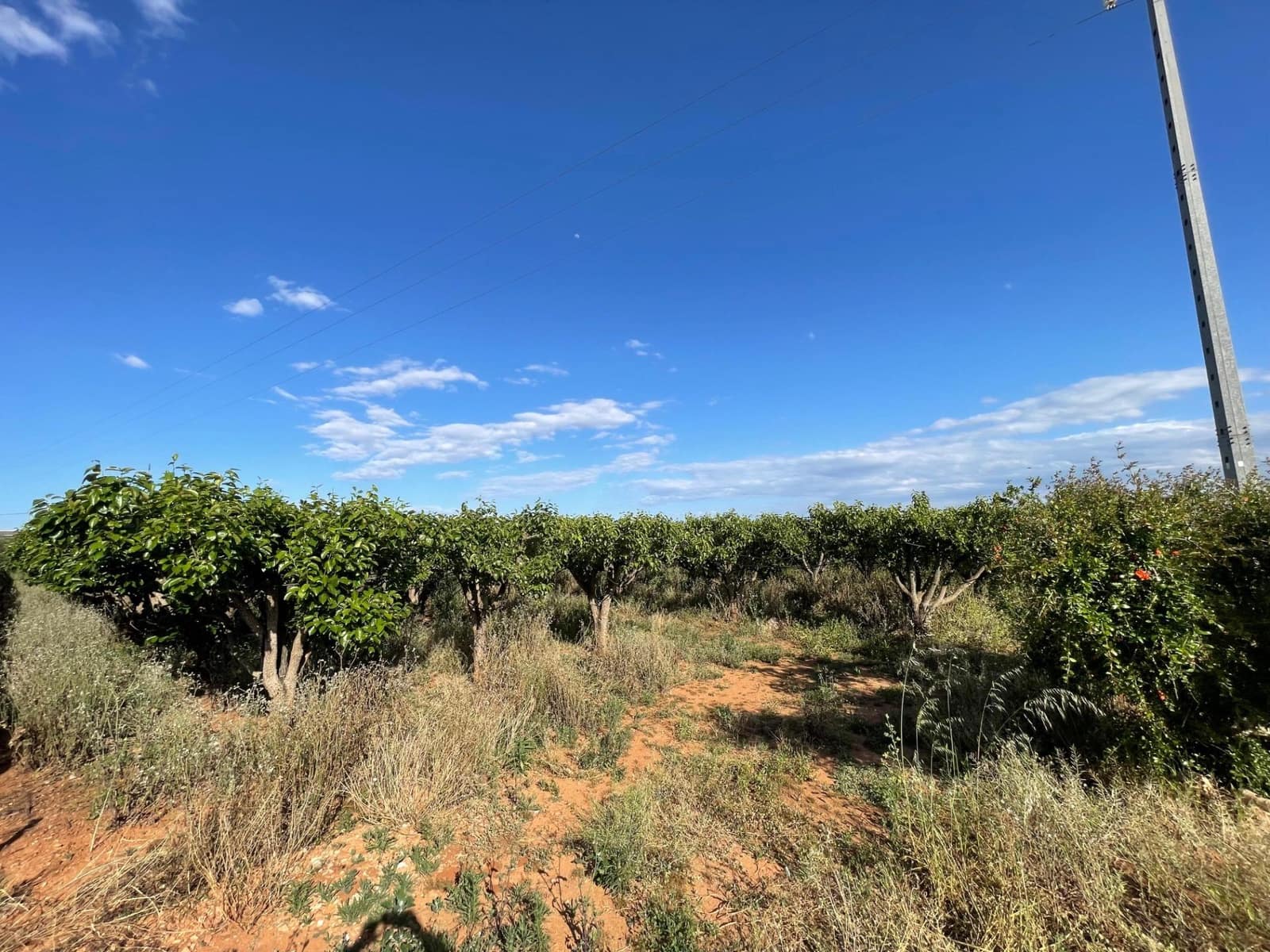 Building Plot for sale in Benimodo - € 10,000 (Ref: 9360167)