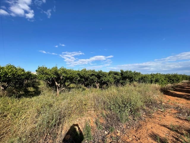 Działka budowlana na sprzedaż w Benimodo - 10 000 € (Ref: 9360167)