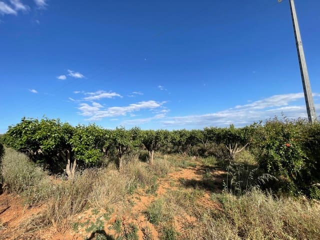 Działka budowlana na sprzedaż w Benimodo - 10 000 € (Ref: 9360167)