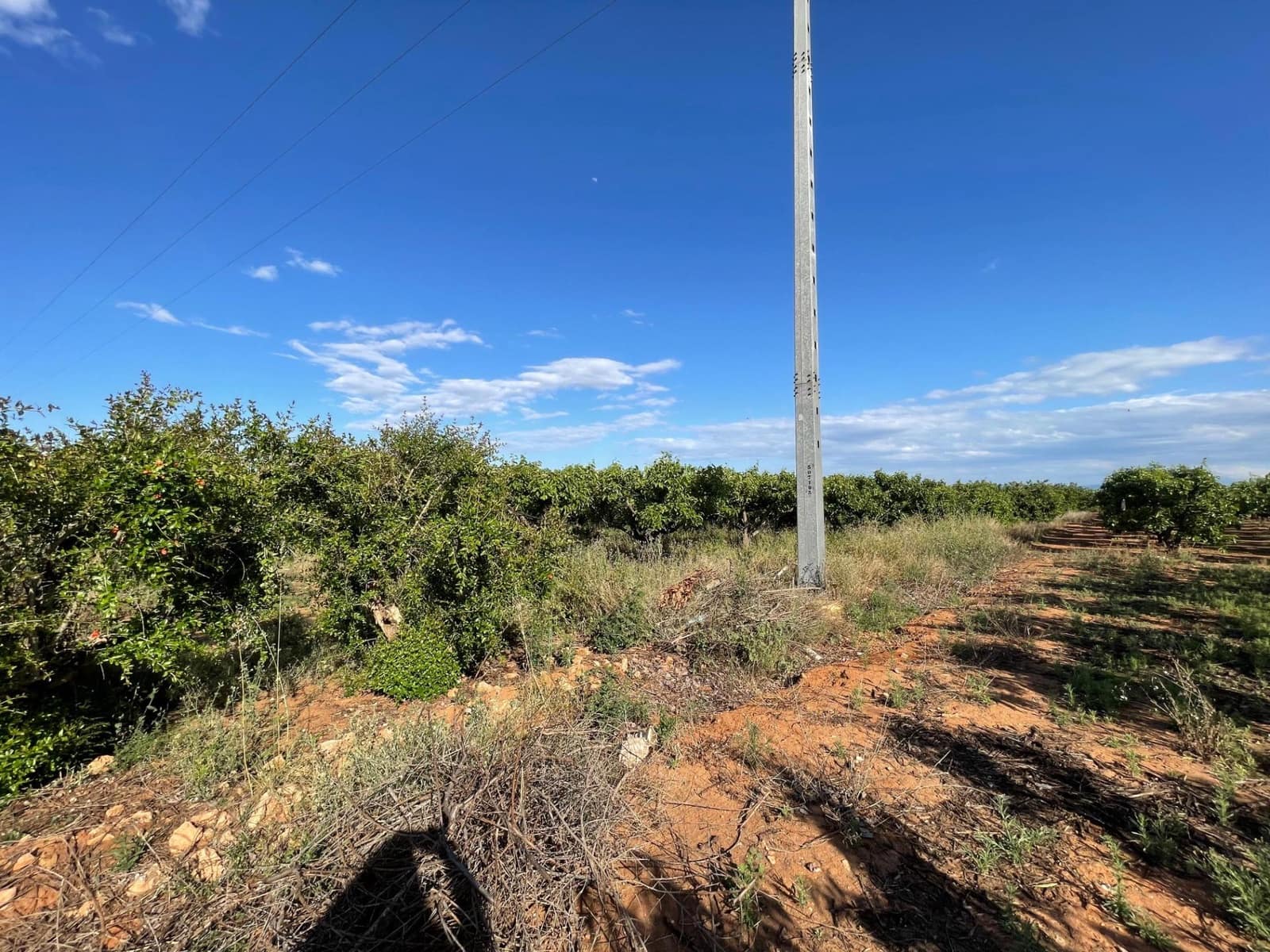 Building Plot for sale in Benimodo - € 10,000 (Ref: 9360167)