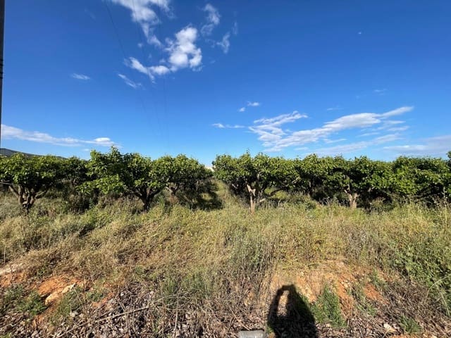 Działka budowlana na sprzedaż w Benimodo - 10 000 € (Ref: 9360167)