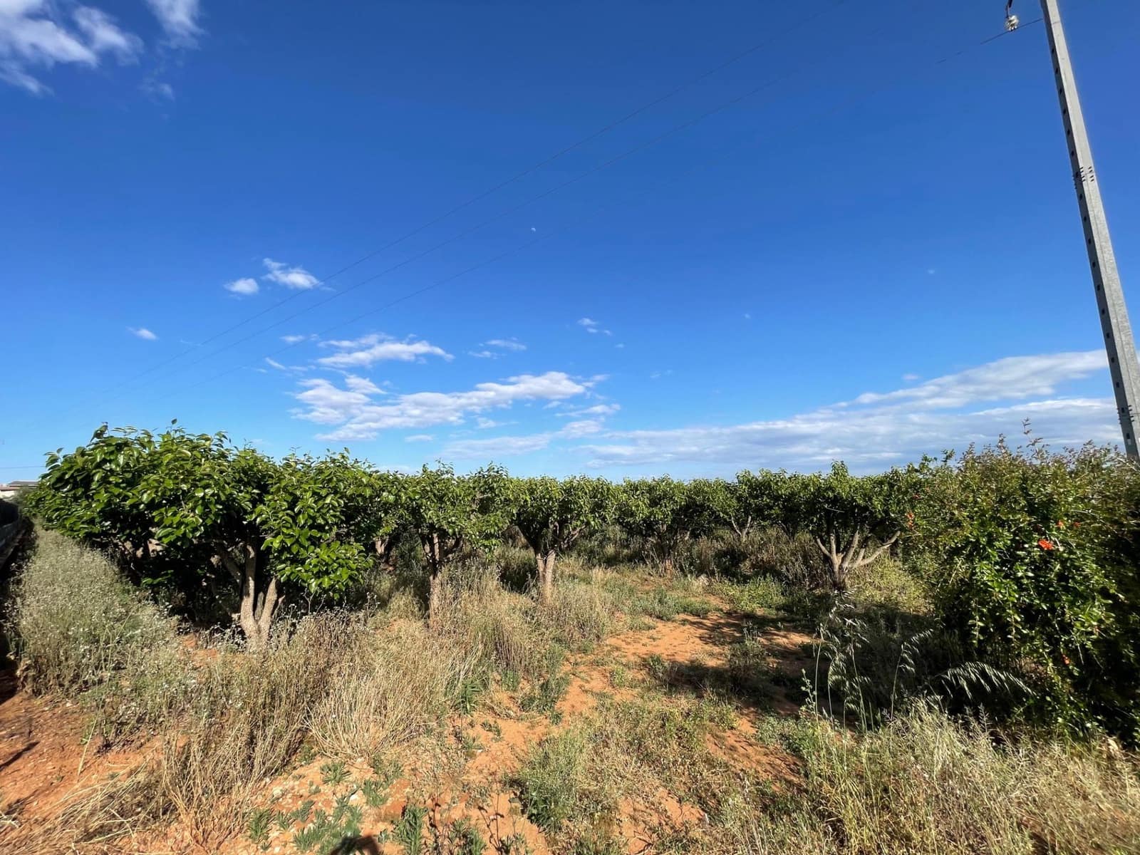 Building Plot for sale in Benimodo - € 10,000 (Ref: 9360167)