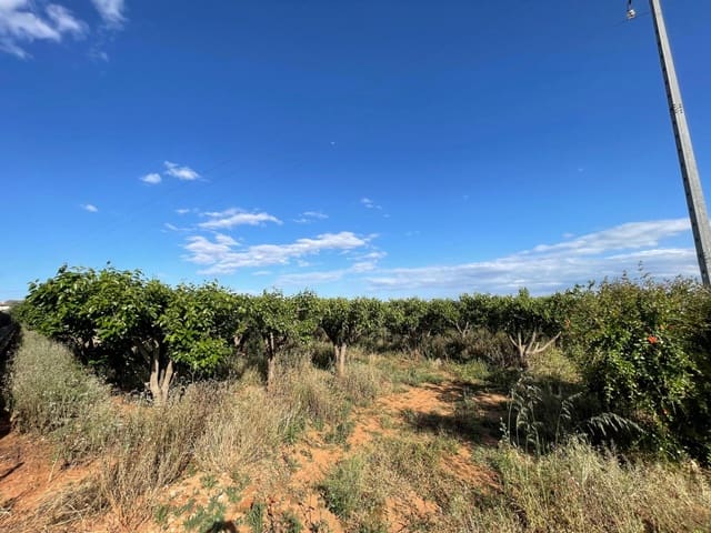 Działka budowlana na sprzedaż w Benimodo - 10 000 € (Ref: 9360167)