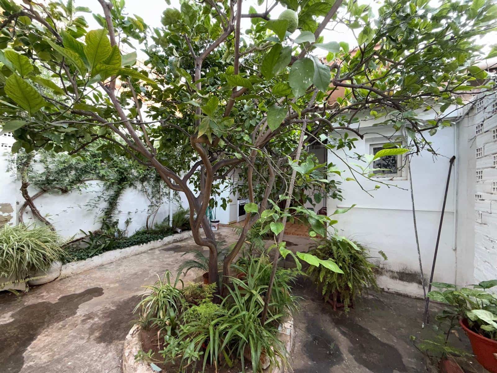 4 soveværelse Byhus til salg i Alginet - € 195.000 (Ref: 9360171)