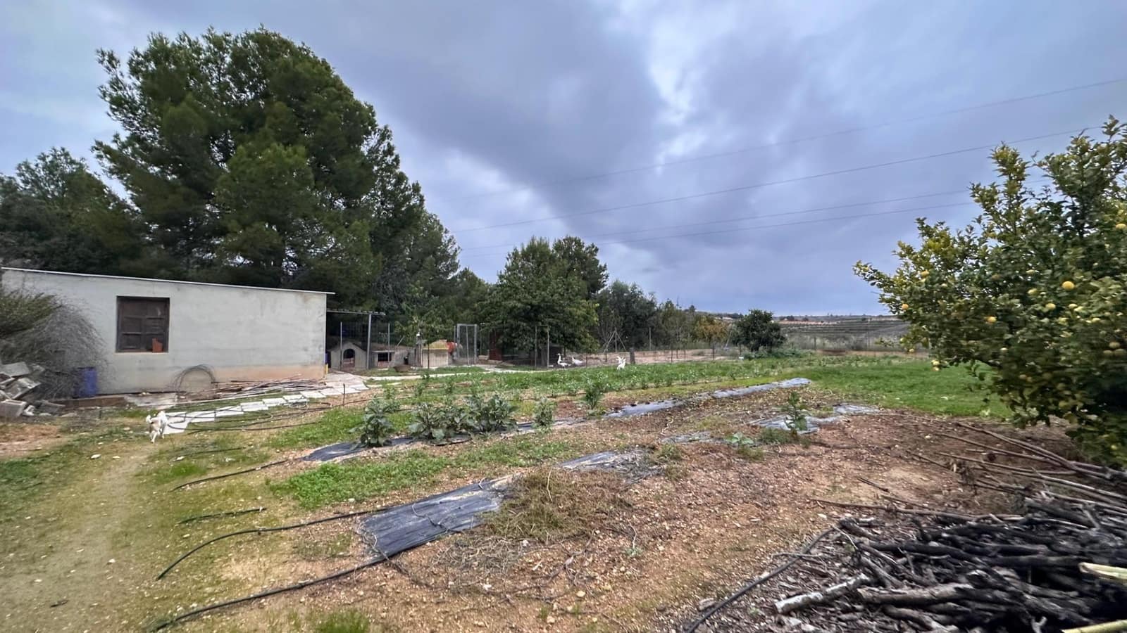 4 soveværelse Villa til salg i Guadassuar med swimmingpool - € 130.000 (Ref: 9375218)