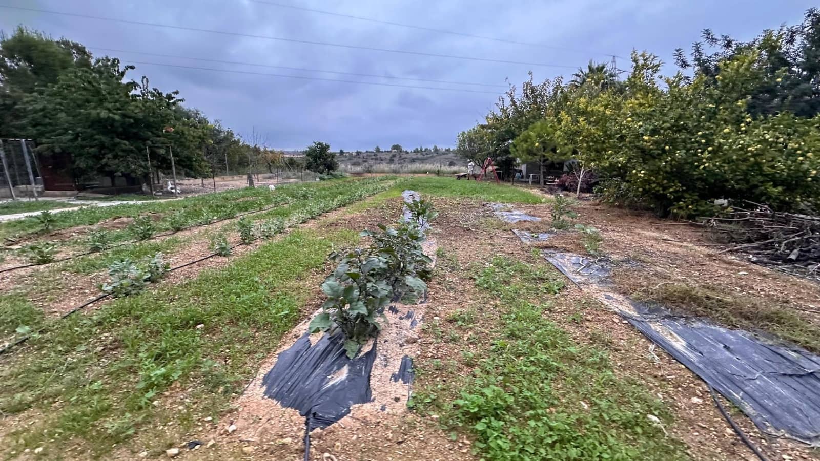 4 soveværelse Villa til salg i Guadassuar med swimmingpool - € 130.000 (Ref: 9375218)