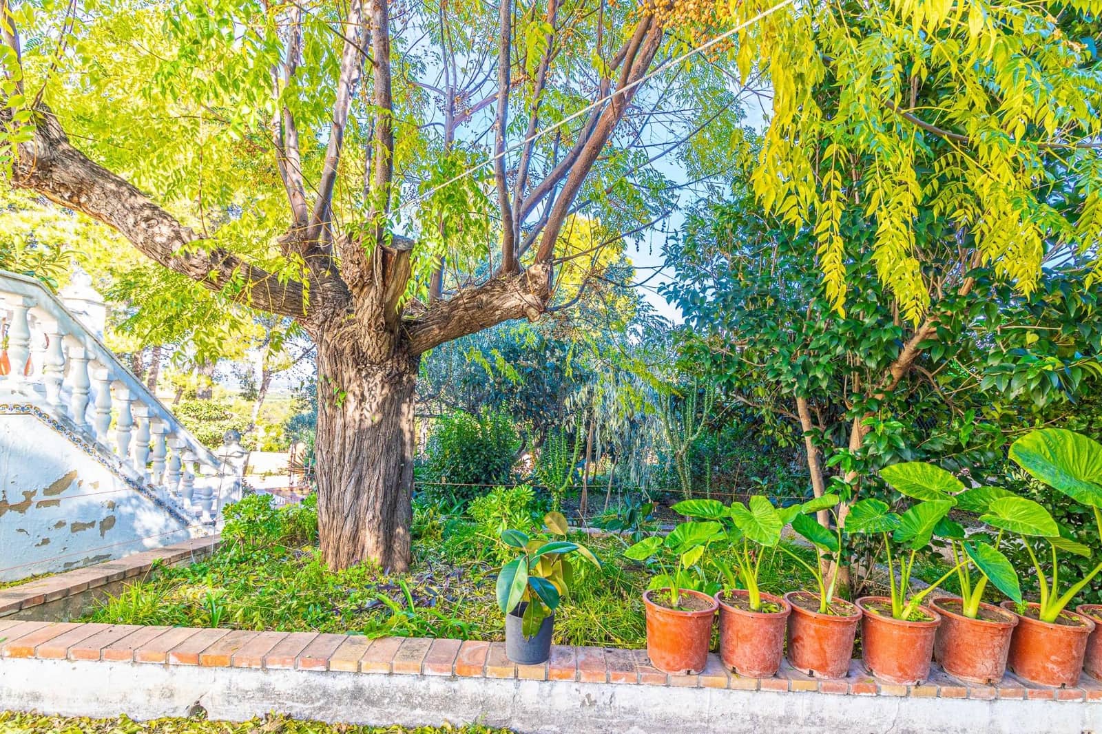 3 soverom Villa til salgs i Alberic med svømmebasseng garasje - € 295 000 (Ref: 9437573)