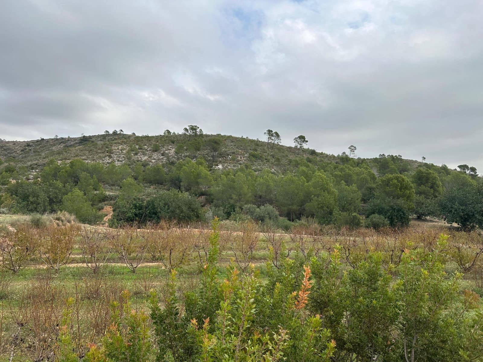 Finca/Landhuis te koop in Tous - € 95.000 (Ref: 9440216)