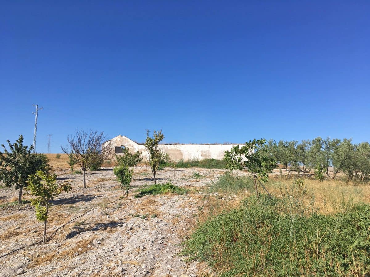 6 soveværelse Finca/Landehus til salg i Moron de la Frontera med swimmingpool - € 850.000 (Ref: 2179408)