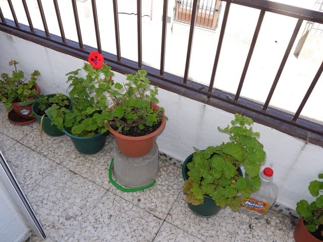 3 bedroom Townhouse for sale in Pruna - € 67,000 (Ref: 2579208)