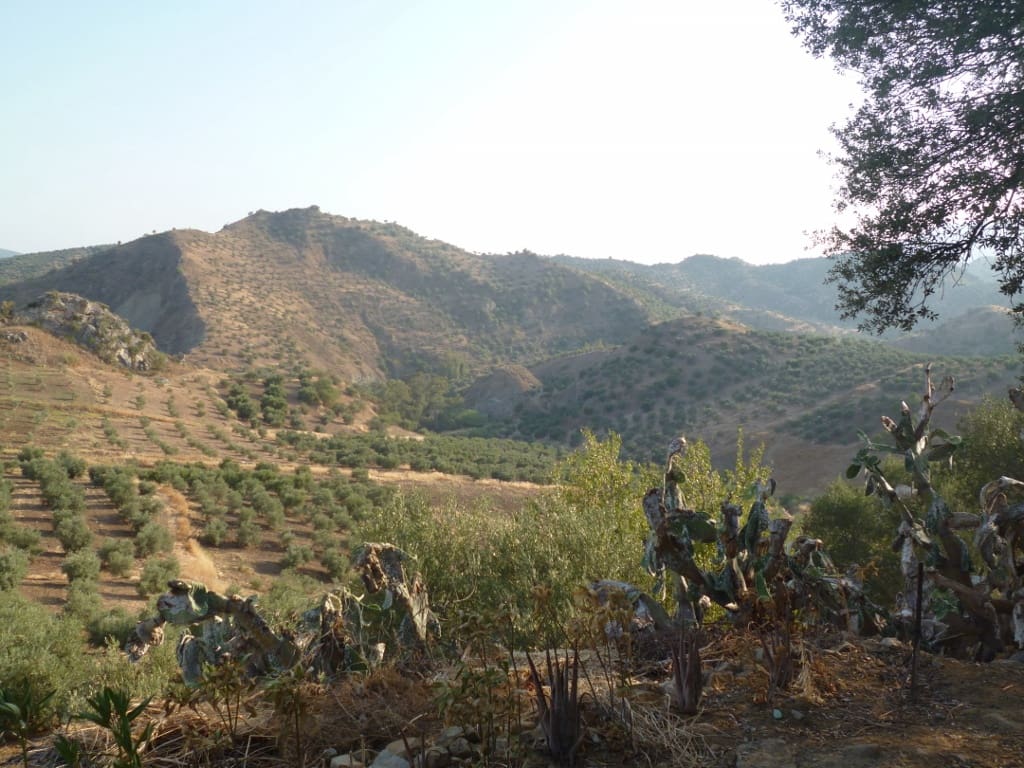 Grunde uden byggetilladelser til salg i Olvera - € 95.000 (Ref: 2695285)