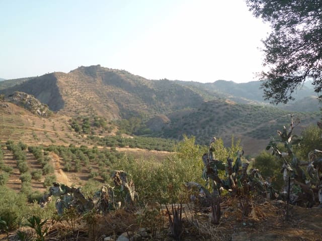 Landgrundstück zu verkaufen in Olvera - 95.000 € (Ref: 2695285)