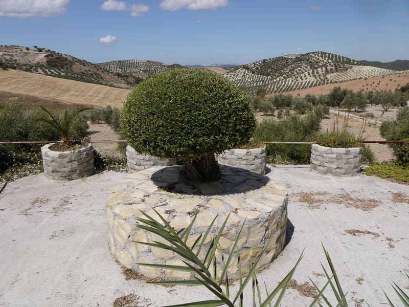 3 soverom Villa til salgs i Pruna med svømmebasseng - € 250 000 (Ref: 2695288)