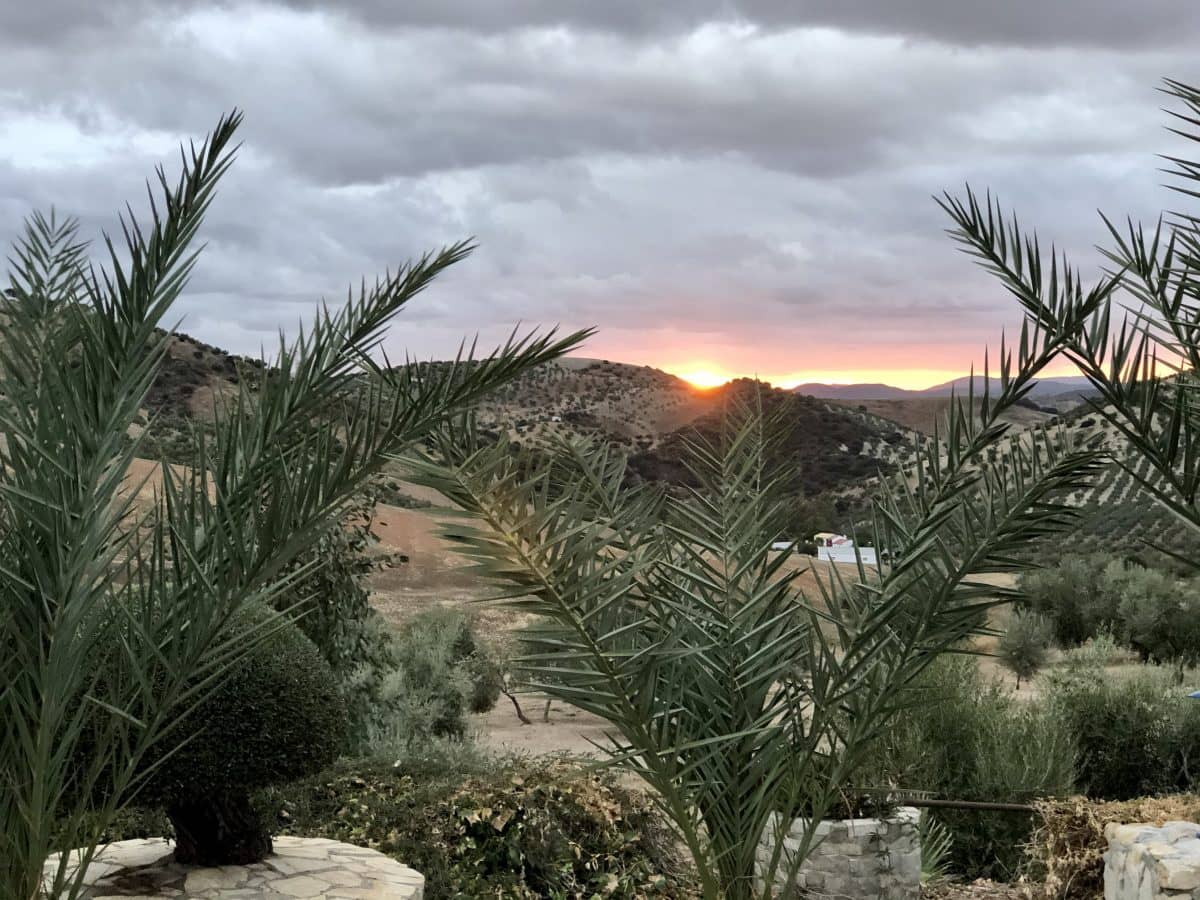 3 soverom Villa til salgs i Pruna med svømmebasseng - € 250 000 (Ref: 2695288)