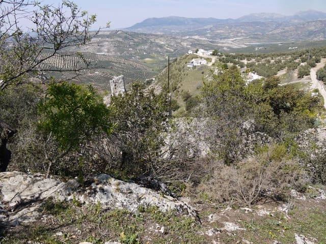 Undeveloped Land for sale in Fuente del Conde, Iznájar - € 27,500 (Ref: 3010720)