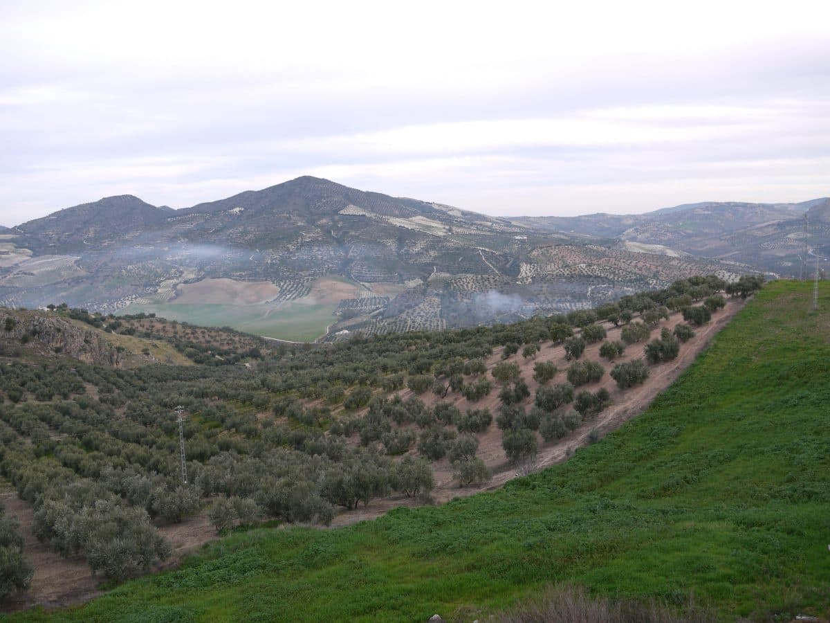 6 sypialnia Dom na sprzedaż w Olvera - 180 000 € (Ref: 4411838)